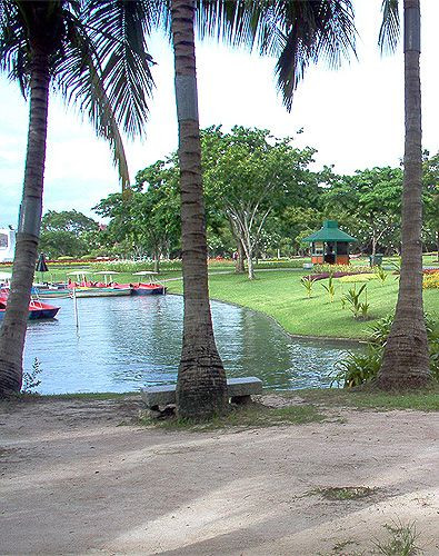 Bomen en vijver in het Koninklijk Rama IX park