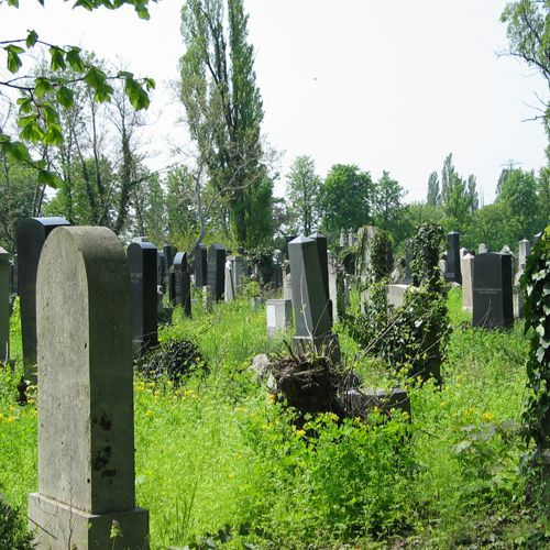 Grafstenen op het Kozma kerkhof