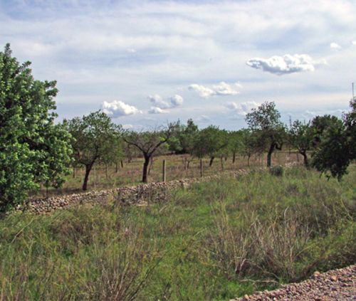 Landschap rond Sóller