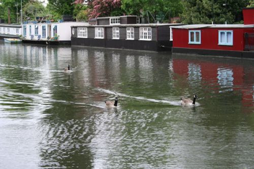 Boot in Regent’s Canal