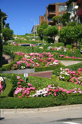 Voertuigen op Lombard Street