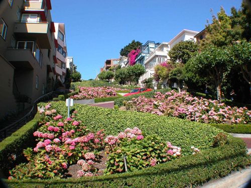 Bloemenperken in San Francisco