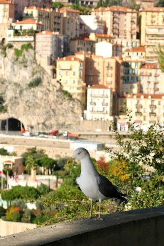 Buiten aan het Monte Carlo Casino