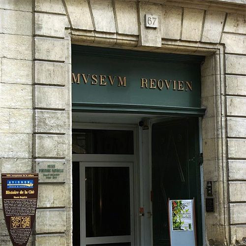 Deur van het Musée Requien