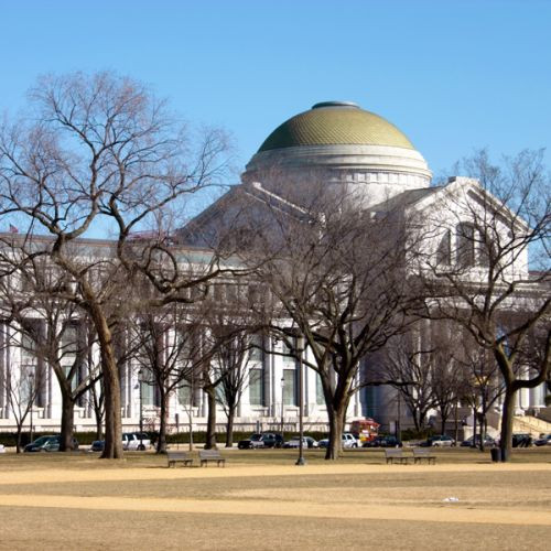 Bomen aan het National Museum of American History