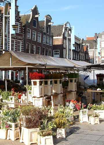 Plantenkraam op de Nieuwmarkt