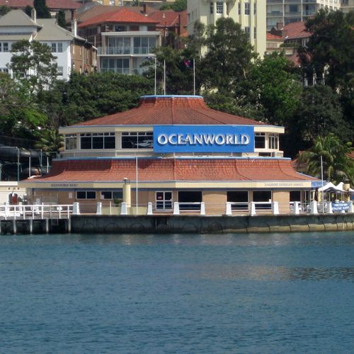 Oceanworld Manly