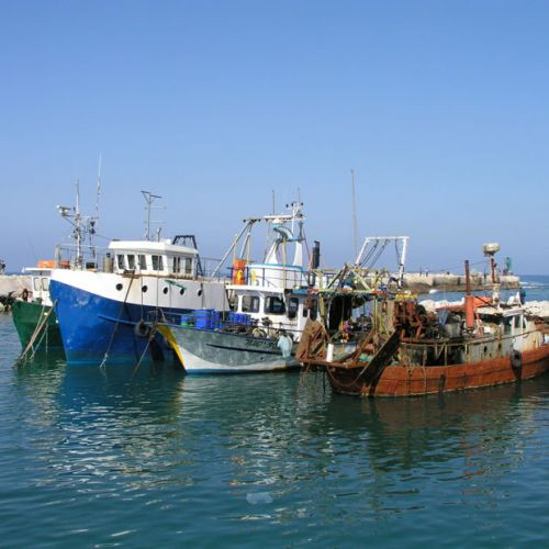 Vissersboten in Jaffa
