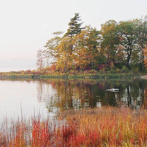 Vijver in het Parc-Nature du Cap St. Jacques