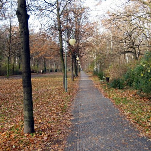 Wandelpad in Park Tiergarten
