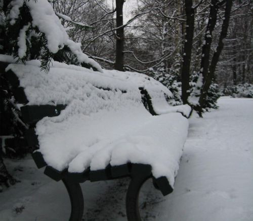 Besneeuwde bank