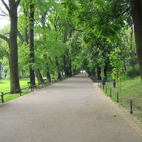 Weg in het Plantypark