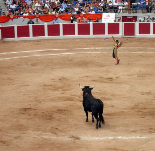 Stierenvechter in Valencia
