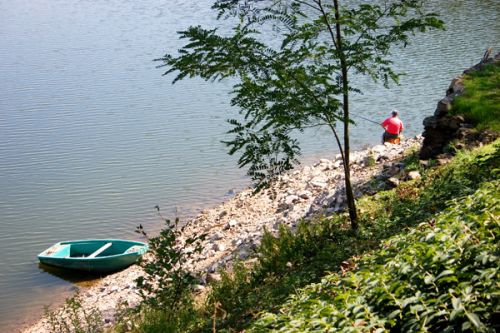 Visser aan de Rhône