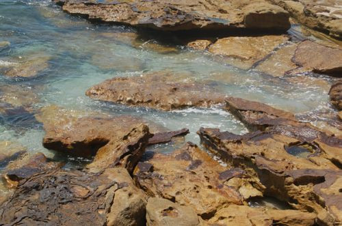 Rotsen in het Royal National Park