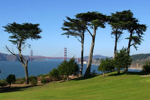 Bomen in Presidio