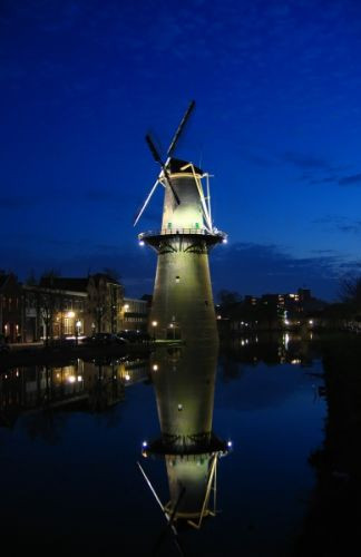 Windmolen in Schiedam