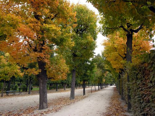 Herfst in de Schönbrunntuinen