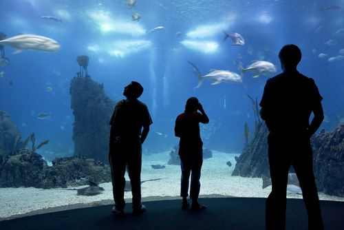 Aquarium in het Oceanário