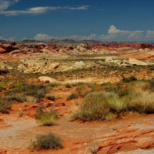 Zicht over het Valley of Fire State Park