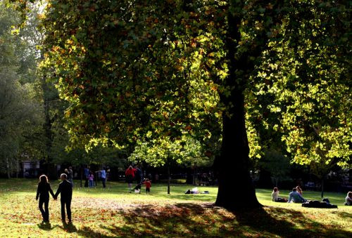 Mensen in St. James’s Park