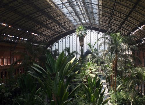 Tropische planten in Madrid