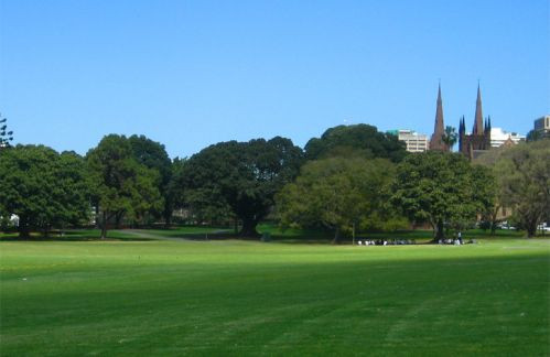 Grasveld in Sydney