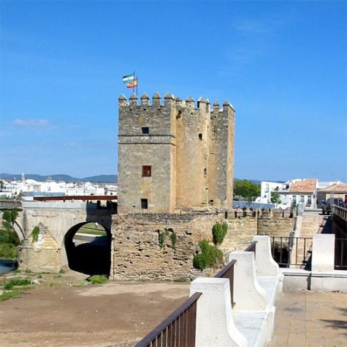 Vergezicht op de Torre de la Calahorra