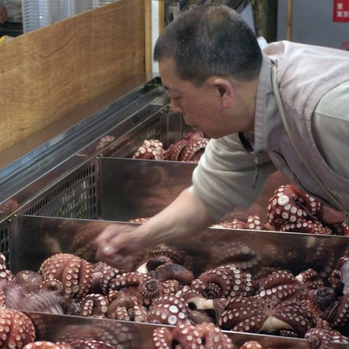 Werken op de Tsukiji-vismarkt