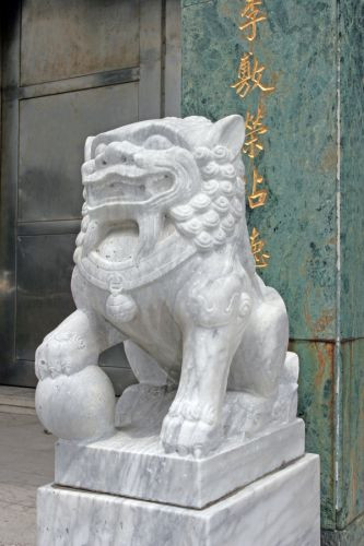 Chinese leeuw