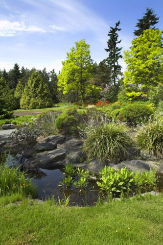 Vijver in de VanDusen Botanical Gardens