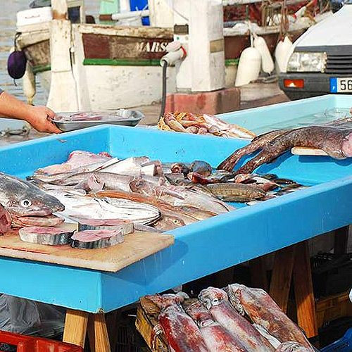Op de Vismarkt van Marseille