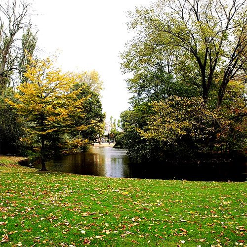 Vijver in het Vondelpark