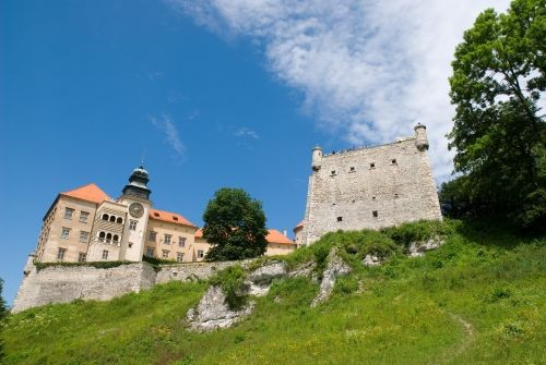 Beeld van een muur van het Wawelpaleis