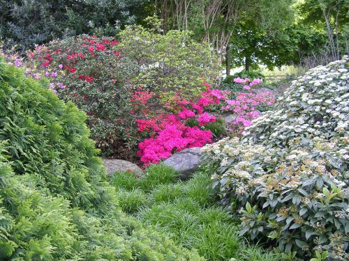 Bloemen in Zürichhorn Park