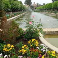 Waterpartij in het Alcázar de los Reyes Cristianos