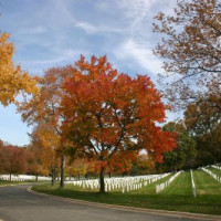 Weg over Arlington National Cemetery