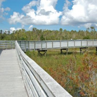 Wandelpad in de Everglades