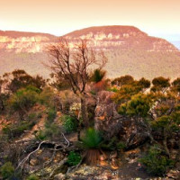 Vergezicht in het Blue Mountains National Park