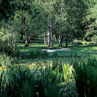 Vijver in de Botanische Tuin