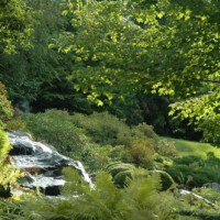 Beeld van de Botanische tuinen van Montréal