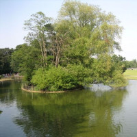 Meertje in Cannon Hill Park