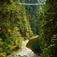 Zicht op de Capilano Suspension Bridge