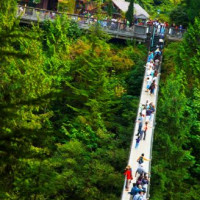 Bezoekerscentrum aan de Capilano Suspension Bridge