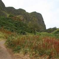 Zicht op de Cavehill