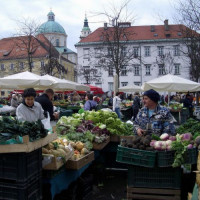 Groentenkraam op de centrale markt