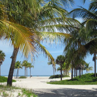 Strand in Crandon Park