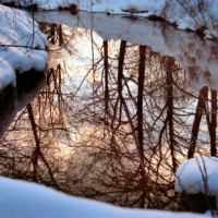 Winterbeeld in de Englischer Garten