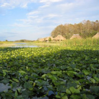 Hutjes in de Everglades