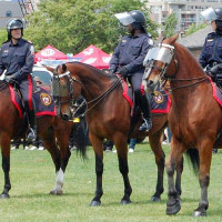 Bereden politie van Toronto